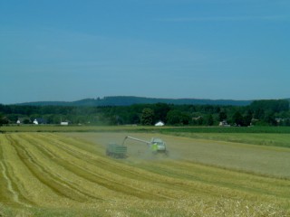 Claas Lexion 560